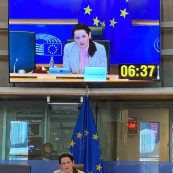 Min vecka - Aktuellt från Karin Karlsbro i Europaparlamentet